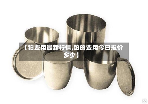 【铂费用最新行情,铂的费用今日报价多少】