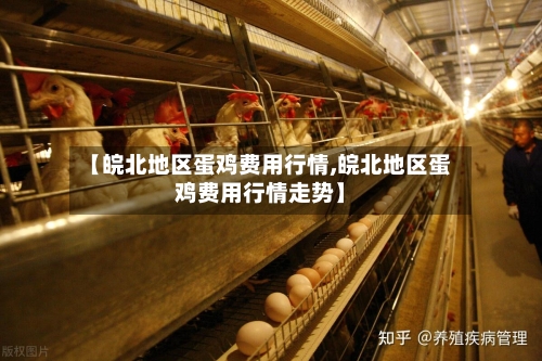 【皖北地区蛋鸡费用行情,皖北地区蛋鸡费用行情走势】-第2张图片