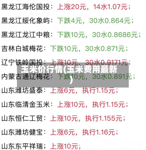 玉米价行情(玉米费用最新)-第2张图片
