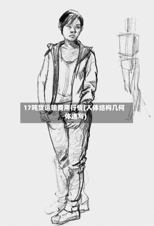 17吨货运输费用行情(人体结构几何体速写)-第3张图片