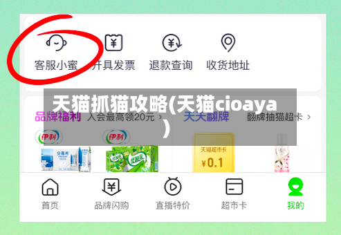 天猫抓猫攻略(天猫cioaya)
