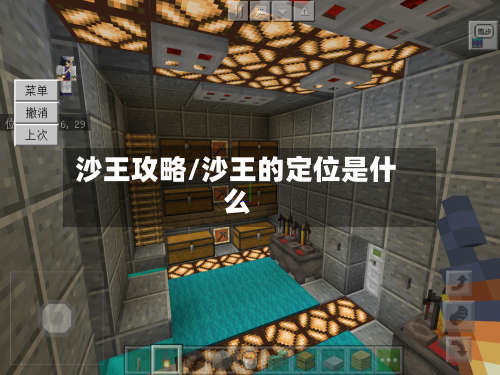 沙王攻略/沙王的定位是什么