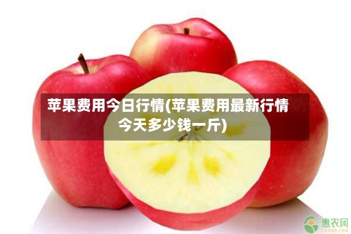 苹果费用今日行情(苹果费用最新行情今天多少钱一斤)