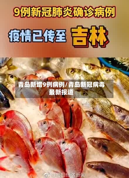 青岛新增9例病例/青岛新冠病毒最新报道-第2张图片