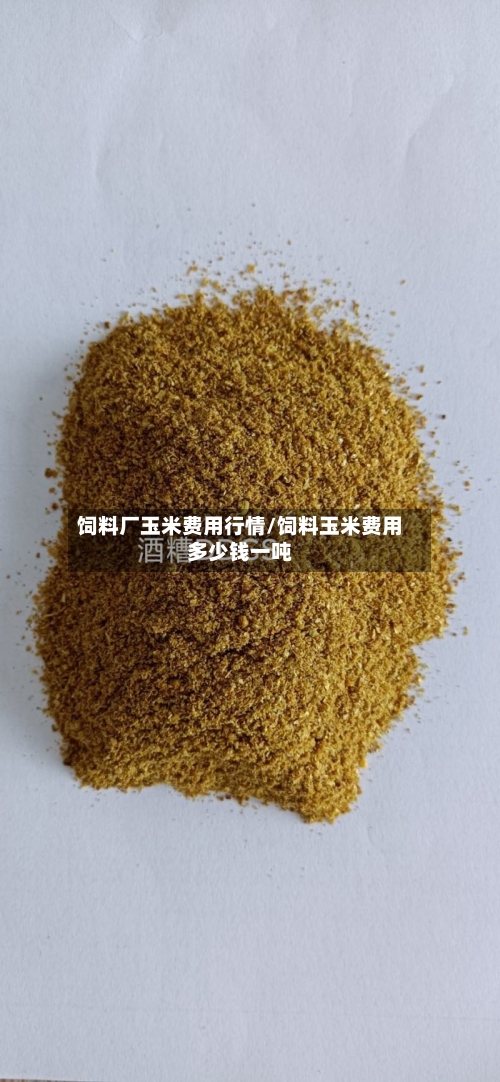 饲料厂玉米费用行情/饲料玉米费用多少钱一吨