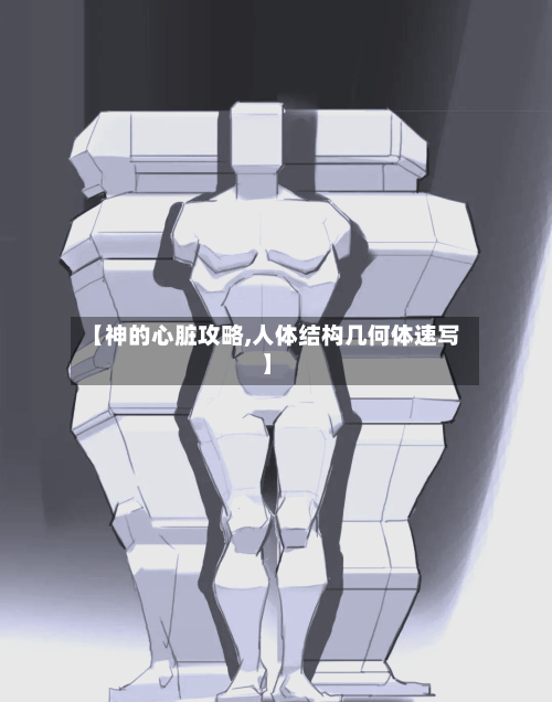 【神的心脏攻略,人体结构几何体速写】