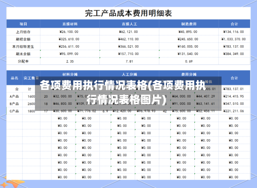 各项费用执行情况表格(各项费用执行情况表格图片)-第2张图片