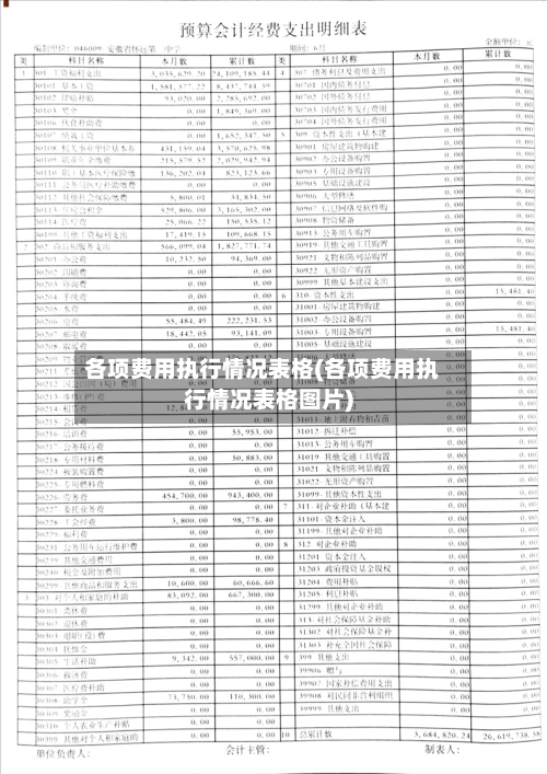 各项费用执行情况表格(各项费用执行情况表格图片)