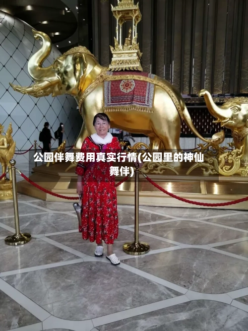 公园伴舞费用真实行情(公园里的神仙舞伴)
