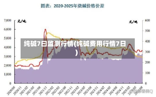 纯碱7曰监测行情(纯碱费用行情7日)