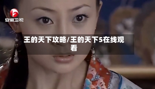 王的天下攻略/王的天下5在线观看