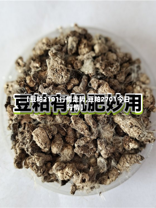 【豆粕2101行情走势,豆粕2701今日行情】-第1张图片