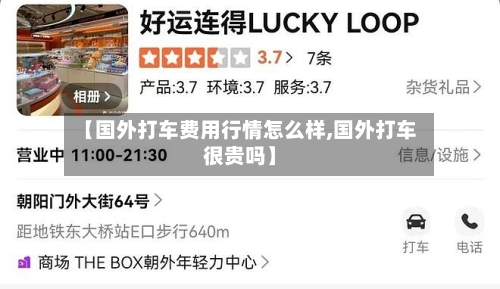 【国外打车费用行情怎么样,国外打车很贵吗】-第2张图片