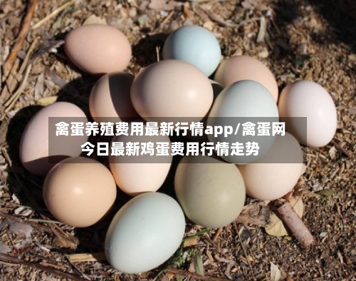 禽蛋养殖费用最新行情app/禽蛋网今日最新鸡蛋费用行情走势-第1张图片