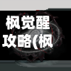枫觉醒攻略(枫觉醒技能)-第1张图片