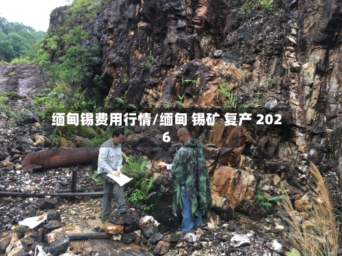 缅甸锡费用行情/缅甸 锡矿 复产 2026
