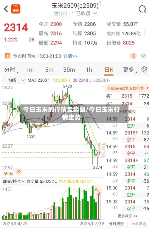今日玉米的行情走势图/今曰玉米行情走势
