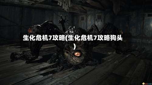 生化危机7攻略(生化危机7攻略狗头)