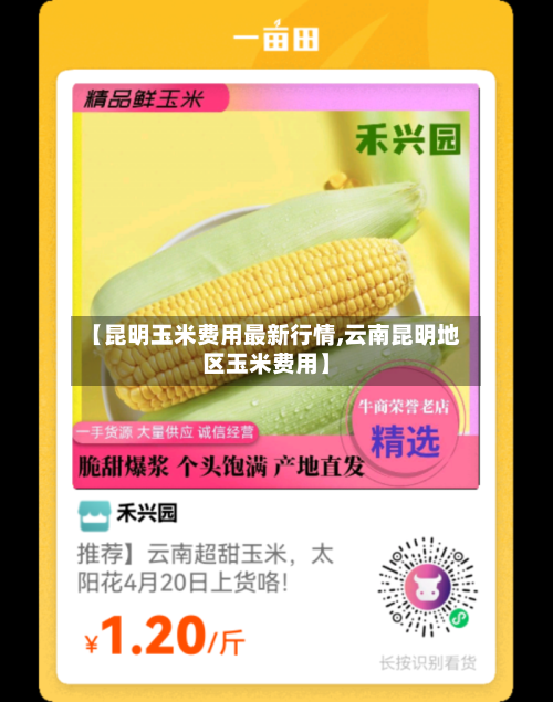 【昆明玉米费用最新行情,云南昆明地区玉米费用】-第2张图片