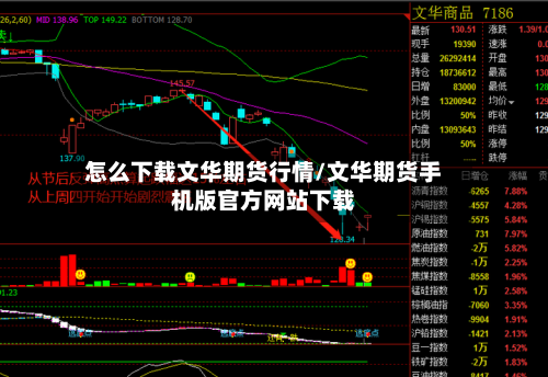 怎么下载文华期货行情/文华期货手机版官方网站下载-第3张图片