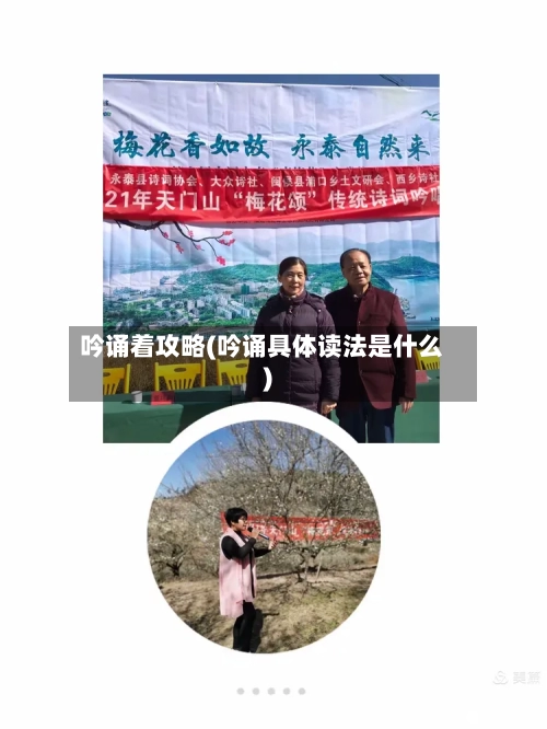 吟诵着攻略(吟诵具体读法是什么)-第2张图片