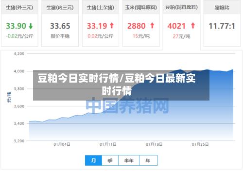 豆粕今日实时行情/豆粕今日最新实时行情-第2张图片